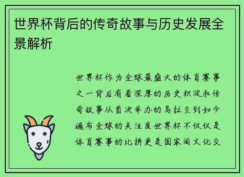 世界杯背后的传奇故事与历史发展全景解析