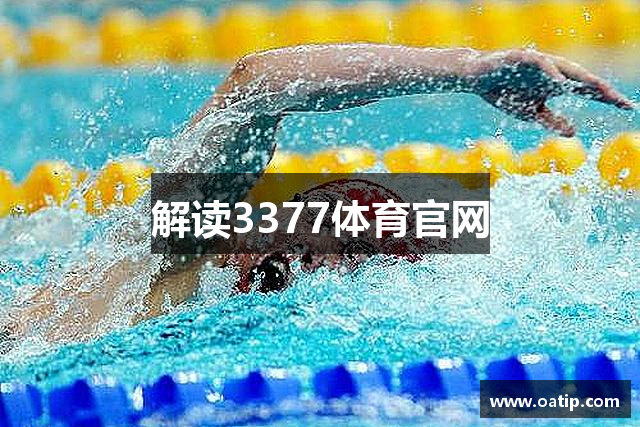 解读3377体育官网